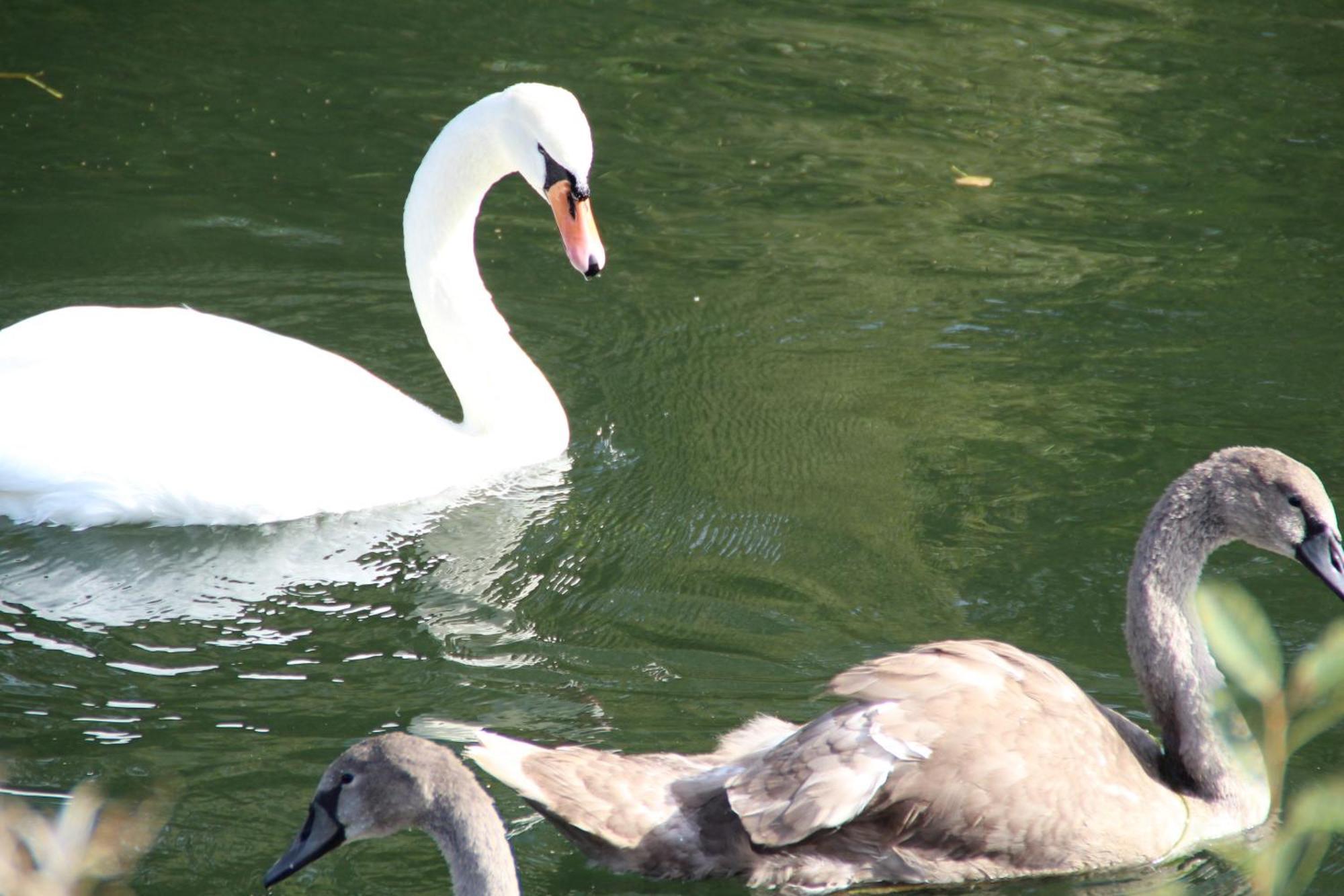 Sealov Hebergements Insolites- Linge, Menage Et Velos Inclus Eaucourt-sur-Somme Стая снимка